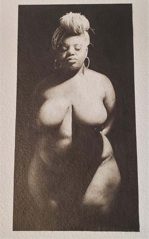 The Venus by Michael Gibson — Pencil